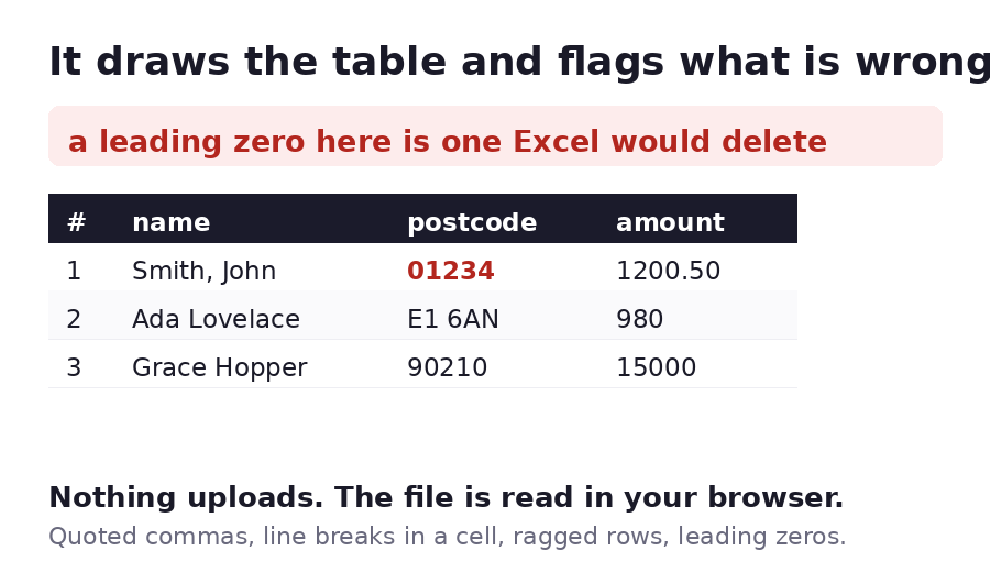 A CSV rendered as a table in the browser, with a warning that three values start with a zero Excel would delete