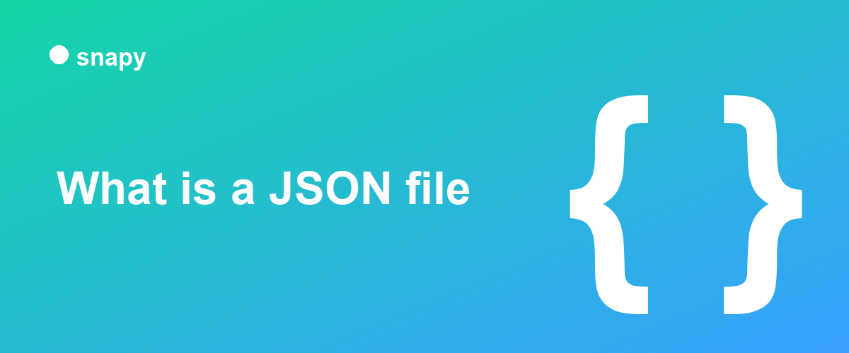What is a JSON file?